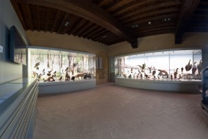 museo-castello-montecuccolo-pavullo-frignano