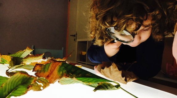 educationes-bilingual-school-a-modena