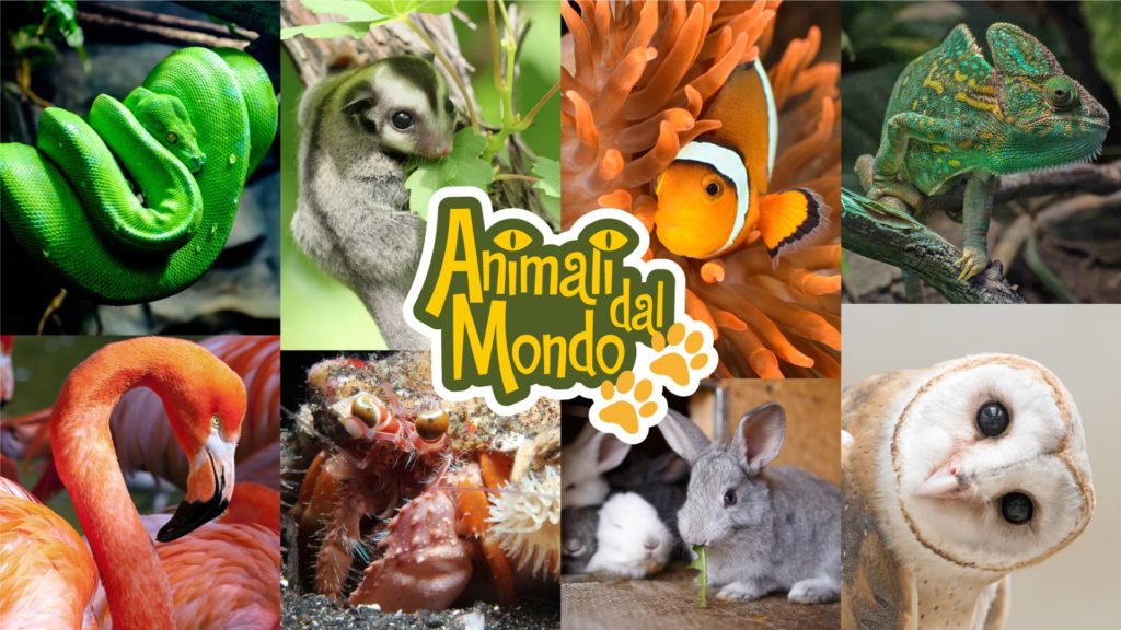 animali-mondo-verdi-passioni