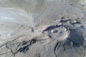 Ludoteca verde: curiosi per natura alla riserva di Nirano @ ca' rossa | Emilia-Romagna | Italia