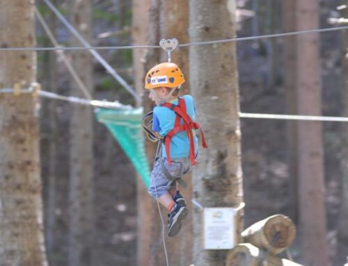 Adventure park Cimone – Sestola