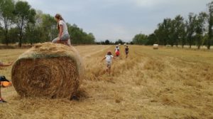Fattorie aperte: alla Centofiori tante attività per le famiglie @ Fattoria Centofiori