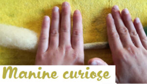 Manine curiose al punto di lettura di San Damaso! (5/8 anni) @ Punto di Lettura San Damaso