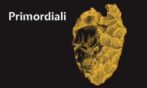 Perchè siamo parenti delle galline al Museo Civico di Modena (6-10 anni) @ Museo civico di Modena - Palazzo dei Musei