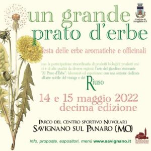 Un grande prato d'erbe a Savignano sul Panaro @ Parco del Centro Sportivo Tazio Nuvolari