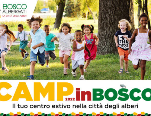 Centro estivo Camp in Bosco a Castelfranco!
