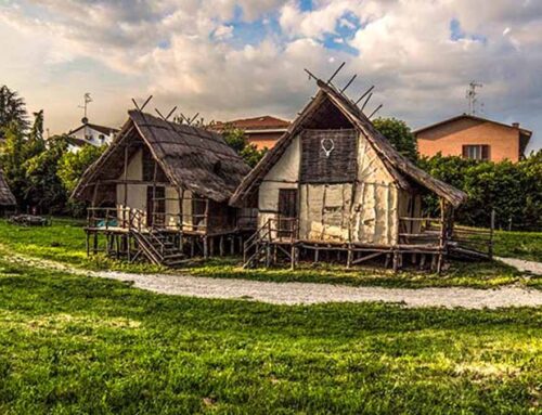 Riapre il Parco Archeologico e Museo all’aperto Terramara di Montale!