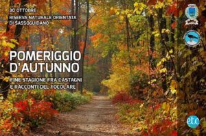 Pomeriggio d'Autunno: fine stagione fra castagni e racconti del focolare a Sassoguidano @ riserva Sassoguidano