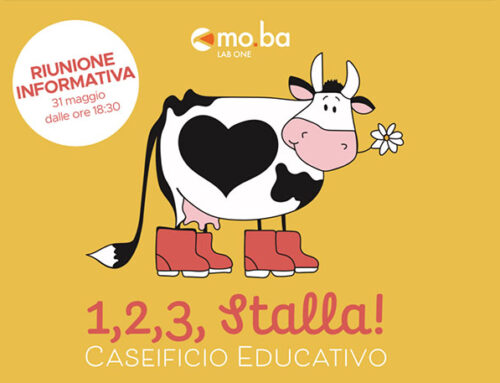 Centro estivo 1,2,3 STALLA!
