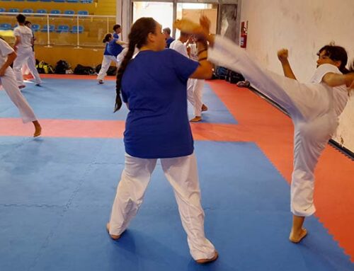 Dragon Karate team i corsi 2023 a Modena