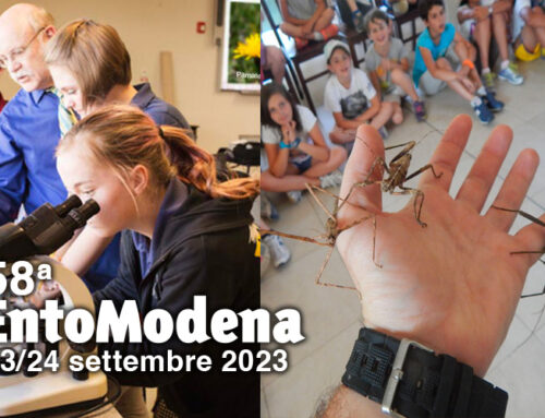 EntoModena, 23 e 24 settembre: prenota subito il laboratorio per il tuo bambino!