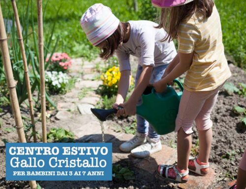 Centro Estivo Gallo Cristallo: Giocare, creare, crescere