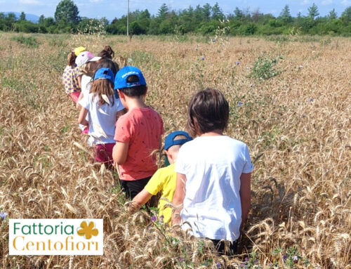 Centro estivo Centofiori 2026 – E…state in Natura!