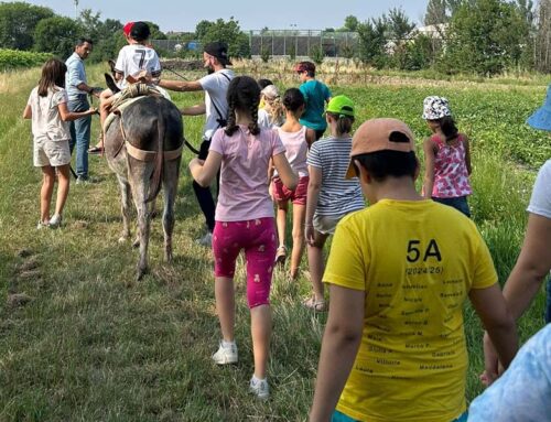 Centro estivo Tana libera tutti 2025
