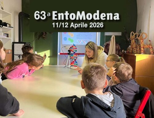 Entomodena: due giorni tra insetti, natura e scoperte per tutta la famiglia