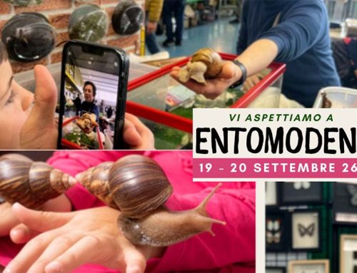 EntoModena: due giorni tra insetti, natura e scoperte per tutta la famiglia