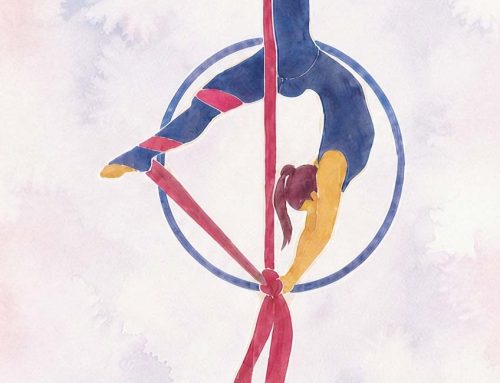 Corso di Danza-Circo a Modena: movimento, gioco e acrobazia per tutte le età!